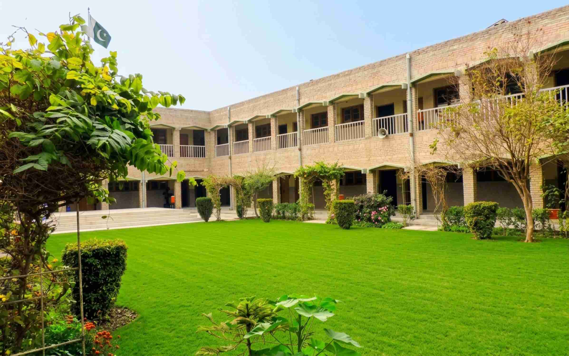Our Gallery